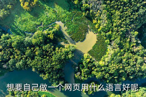 想要自己做一个网页用什么语言好呢