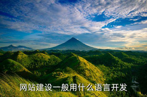 网站建设一般用什么语言开发